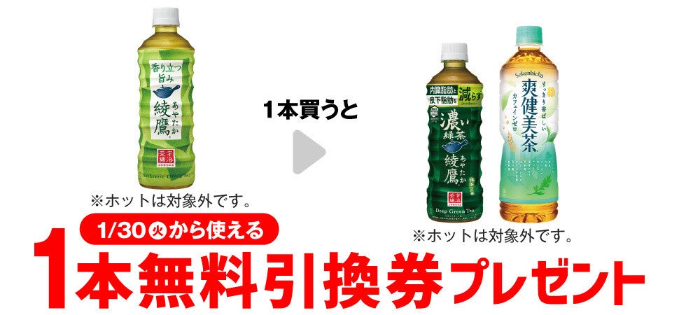 フード/ドリンク券綾鷹　濃い緑茶　96本　無料引換券