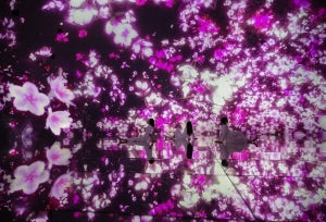 【インバウンドも注目】東京・豊洲「チームラボプラネッツ」がGoogle検索年間ランキング「世界で最も人気のある美術館・博物館」トップ5に! 3月からは桜が満開