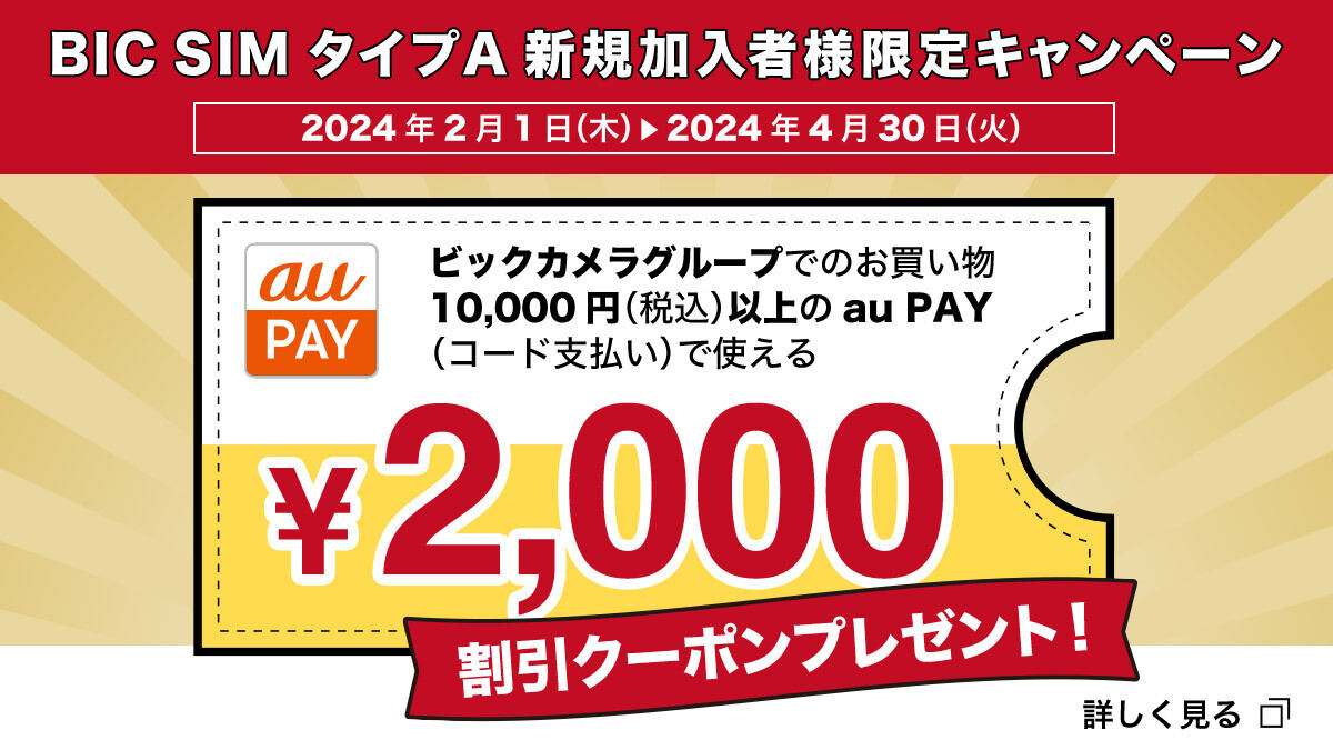 「BIC SIM」タイプA（au回線）の申込でau PAY2,000円引きクーポン進呈