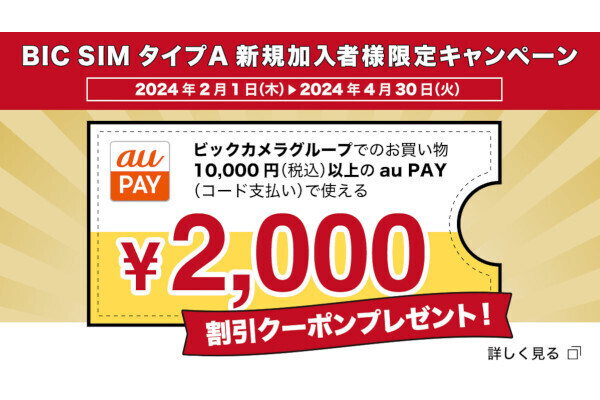 「BIC SIM」タイプA（au回線）の申込でau PAY2,000円引きクーポン進呈 | マイナビニュース