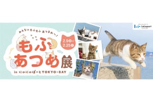 ららぽーとTOKYO-BAY、猫写真家・五十嵐健太コラボの「もふあつめ展」開催