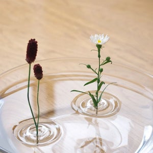 【水に浮かべる花器】「発想が素晴らしい!」「美しくて新しいアイデア 」とSNSで話題の花器がインテリアのアクセントにピッタリ!
