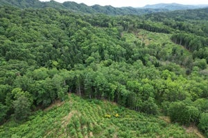 北海道留萌市所在のユードロマップ団地が「自然共生サイト」に認定