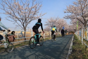 お花見も楽しめる! 関東のサイクリングコース3選