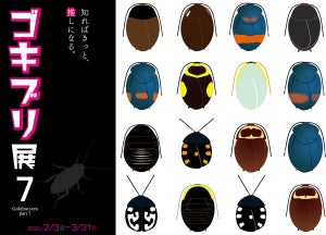 【ぎ、ぎぇぇ】静岡県にある竜洋昆虫自然観察公園の『ゴキブリ展』が話題に - 「怖いもの見たさにw」「なんだこれ...ちょっと興味有る...」「背筋が凍ってしまう」
