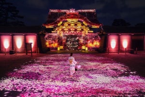 【感動】世界遺産・二条城で夜桜を楽しむ「NAKED 桜まつり」開催 -「何この世界観!!素敵すぎる…」「夜桜見に行くぞー」と話題