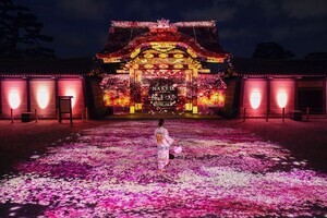 【感動】世界遺産・二条城で夜桜を楽しむ「NAKED 桜まつり」開催 -「何この世界観!!素敵すぎる…」「夜桜見に行くぞー」と話題