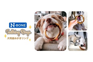 米粉が主成分の「愛犬用歯みがきガム」、日本初上陸 - 牛皮不使用で消化性が良い