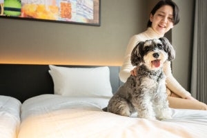 「愛犬が主役のホテル」京都に誕生! - 全室同伴可能、リールなしで遊べるラウンジ、一緒に食事できるカフェも