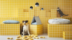 【IKEA】ペット用品「UTSÅDD/ウートソッド コレクション」を発売! 犬用ベッド、キャットハウス、ペットボウルなど22商品