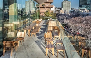 【スタバでお花見】目黒川の桜を楽しめる「スターバックス リザーブ ロースタリー東京」のテラス席が「最高…」「憧れ」と話題