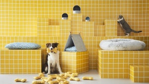 IKEAから、ペット用品コレクション「UTSÅDD/ウートソッド」誕生 - ペットと飼い主に快適さを