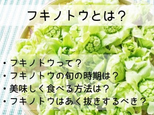 フキノトウとは？旬の時期・美味しい食べ方・保存方法など