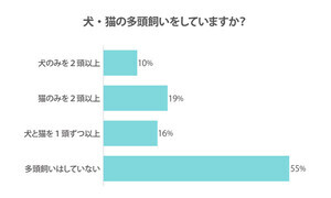 「多頭飼い」最大の困りごとは? - 「先住犬・先住猫との相性」「近所からの苦情」などの声も