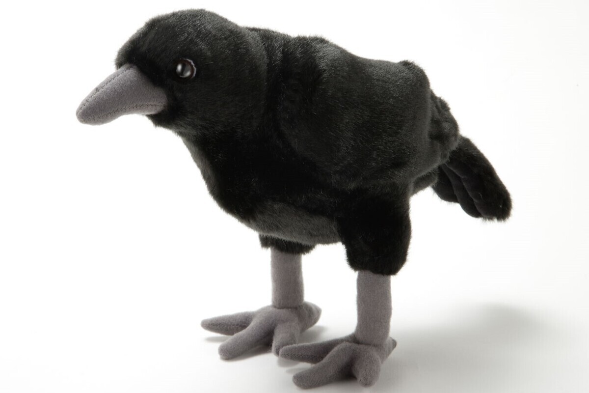 レア商品!?】きゅるっとした目がかわいい「カラスのぬいぐるみ