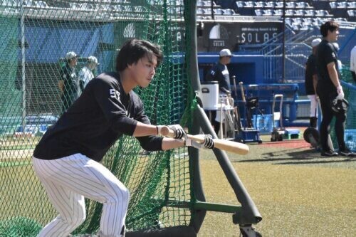 「毎日やってます！」と今日も三塁側にセーフティバントの練習をする小川龍成選手（撮影日=2023年10月13日）