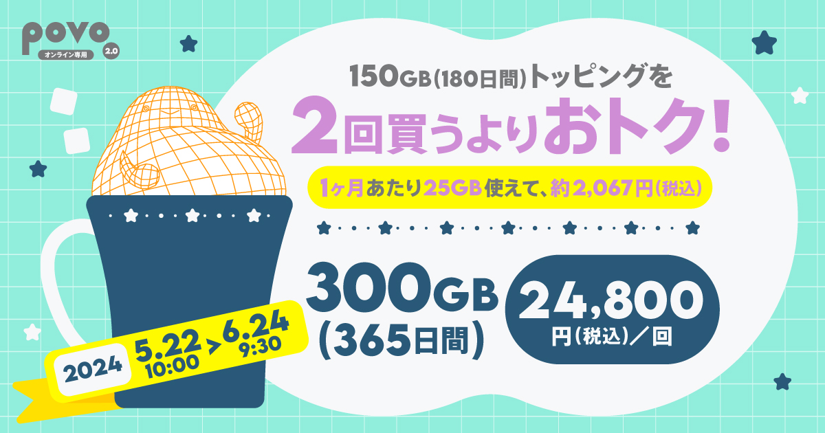 【期間限定】データ追加300GB（365日間）
