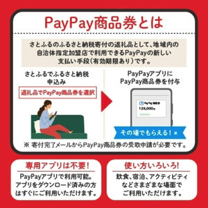 ふるさと納税「PayPay商品券」で賢くお得にレジャーを楽しむ