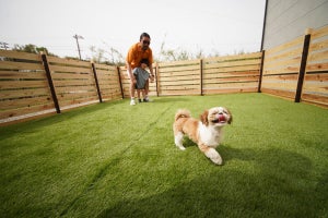 愛犬と泊まれる淡路島のサウナ付き貸別荘が半額キャンペーン