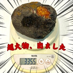 【じぇじぇじぇ】岩手の久慈琥珀博物館で超大物の「琥珀」発掘される -「は? 何この大きさ?」「デカッ!」と話題