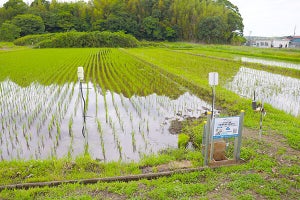 通信のIIJが千葉県白井市に農場を持つ理由とは - スマート農業実証実験の説明会を開催