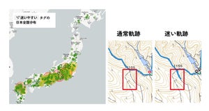 日本一道迷いしやすい登山道 2024 – 1位はどこ?