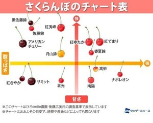 【一目瞭然】自分の好みがわかる「さくらんぼチャート」が話題に! - ウェザーニュースが公開