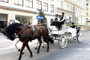 「こんなに馬車が似合う人います?」　HYDE“オーストリアより愛を込めて”に1.5万いいね