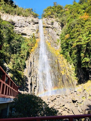 和歌山県那智勝浦町のふるさと納税返礼品の使い道「那智の滝源流水資源保全事業」とは? 