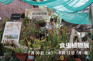 【顔出しパネルが良すぎる】東京・神代植物公園で「食虫植物展」開催 - 「子供が喜びそう」「えっ行こうかな」と話題に