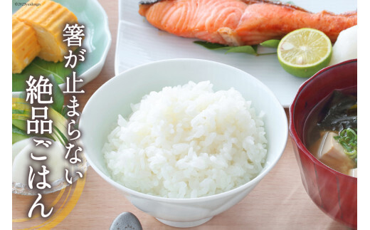 気仙沼市のふるさと納税返礼品「米どころ宮城県のお米『ひとめぼれ』」とは?