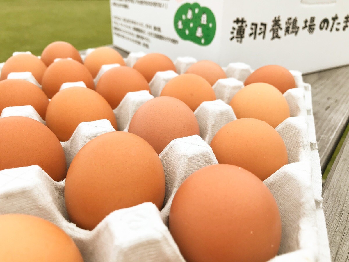 栃木県益子町のふるさと納税返礼品「【定期便】枯草菌育ちの赤たまご30個(年12回)」とは?
