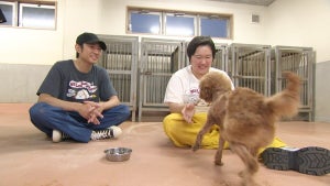 やす子、相葉雅紀の保護犬トリミングに参加 『24時間テレビ』の発表も