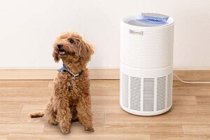 ダイソン、二酸化窒素を1.5倍除去する空気清浄機の最上位モデル
