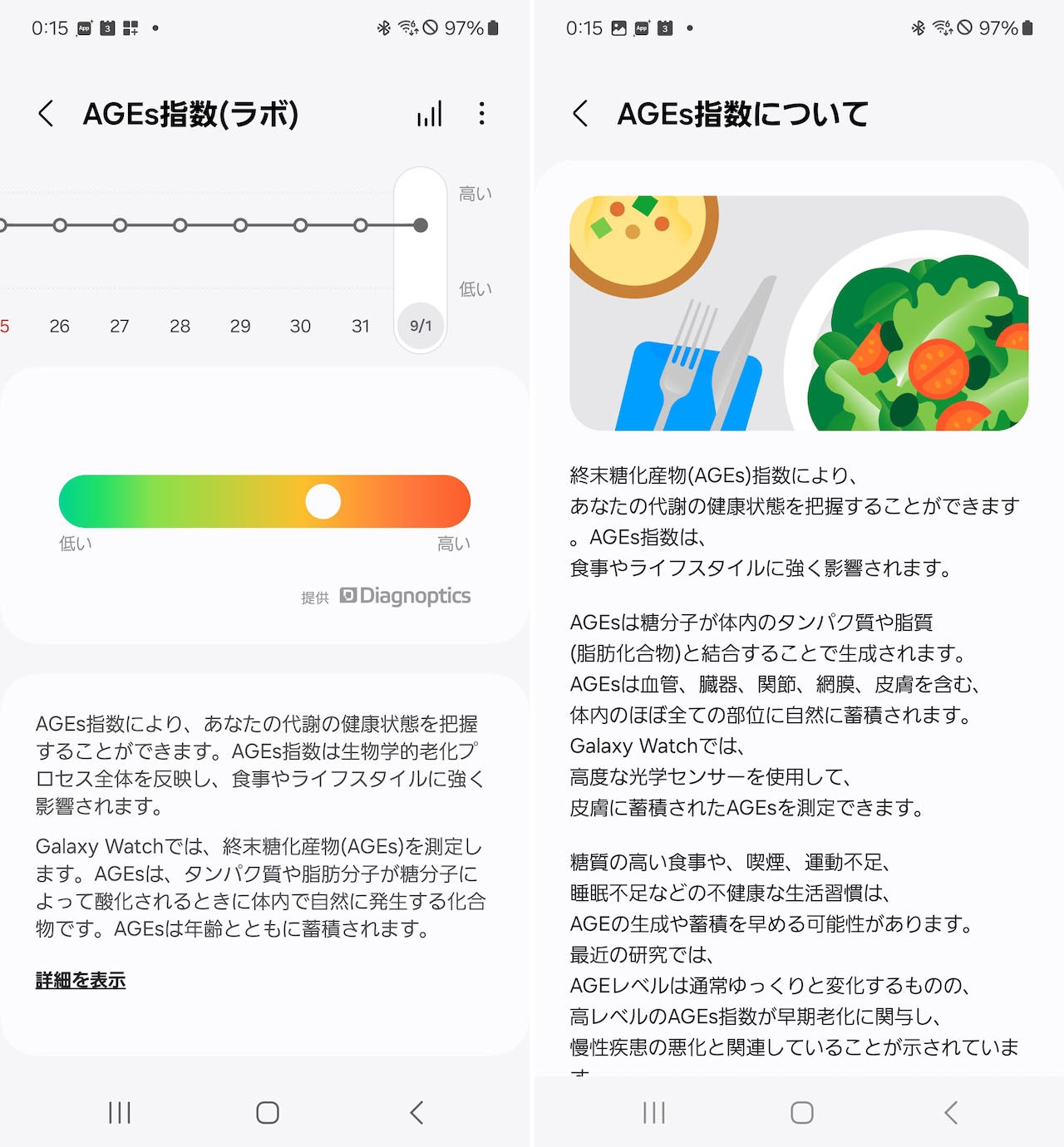 AGEs指数の記録とその説明