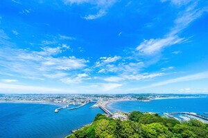 神奈川県藤沢市のふるさと納税返礼品「湘南が生んだブランド米『はるみ』」とは? 