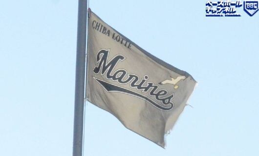 千葉ロッテマリーンズ　2024年の戦力外通告　現役引退　現役引退　自由契…