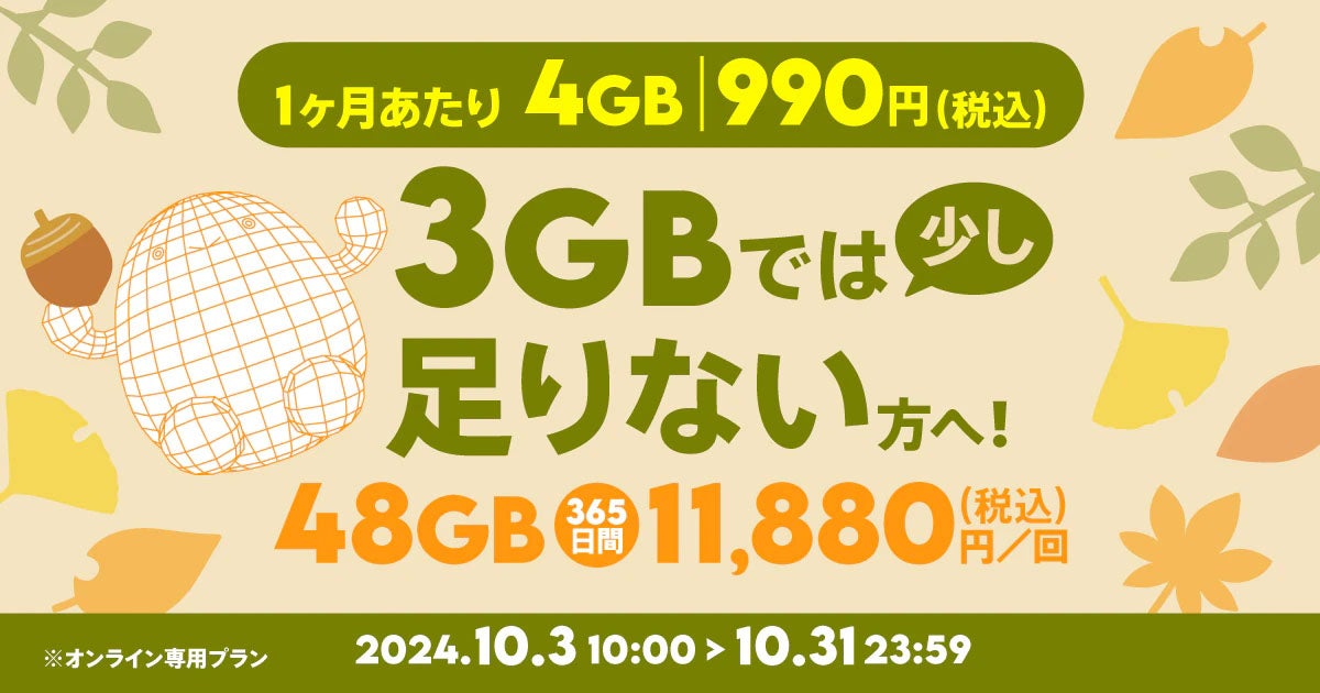 【期間限定】データ追加48GB（365日間）