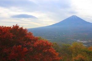 紅葉と富士の眺望! 山梨県鳴沢村の「紅葉台」の魅力、自然を楽しむふるさと納税返礼品とは? 