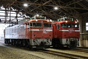 JR東日本「秋の機関車祭り」EF64形・EF81形を展示、特別コースも