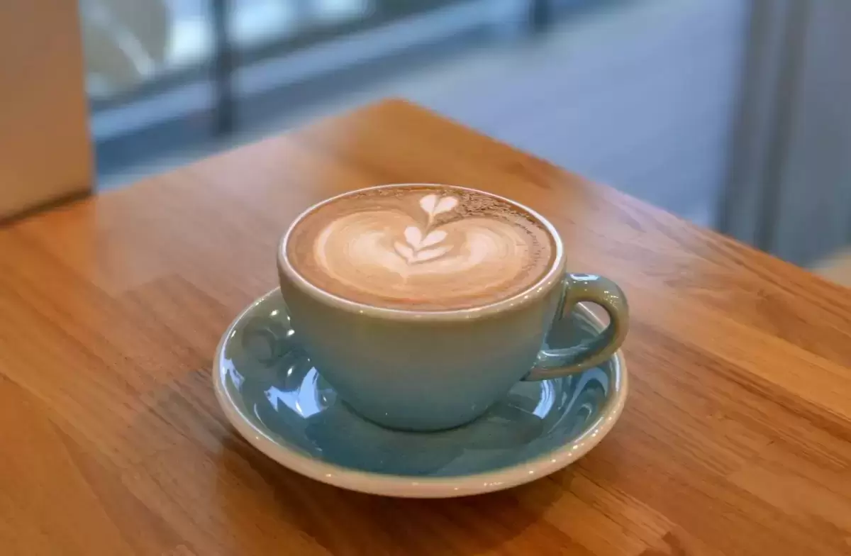 【藤沢 グルメレポ】cafe parva maris(カフェ パルア…