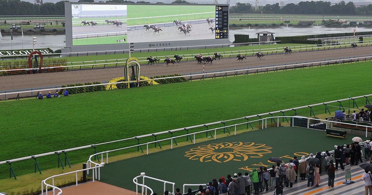 京都競馬場の1大イベント、菊花賞の裏側でドコモが実施するトラヒック対策 ：マピオンニュースの注目トピック