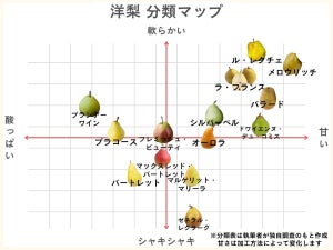 洋梨の種類14選を分類マップで分かりやすく解説【2024年】