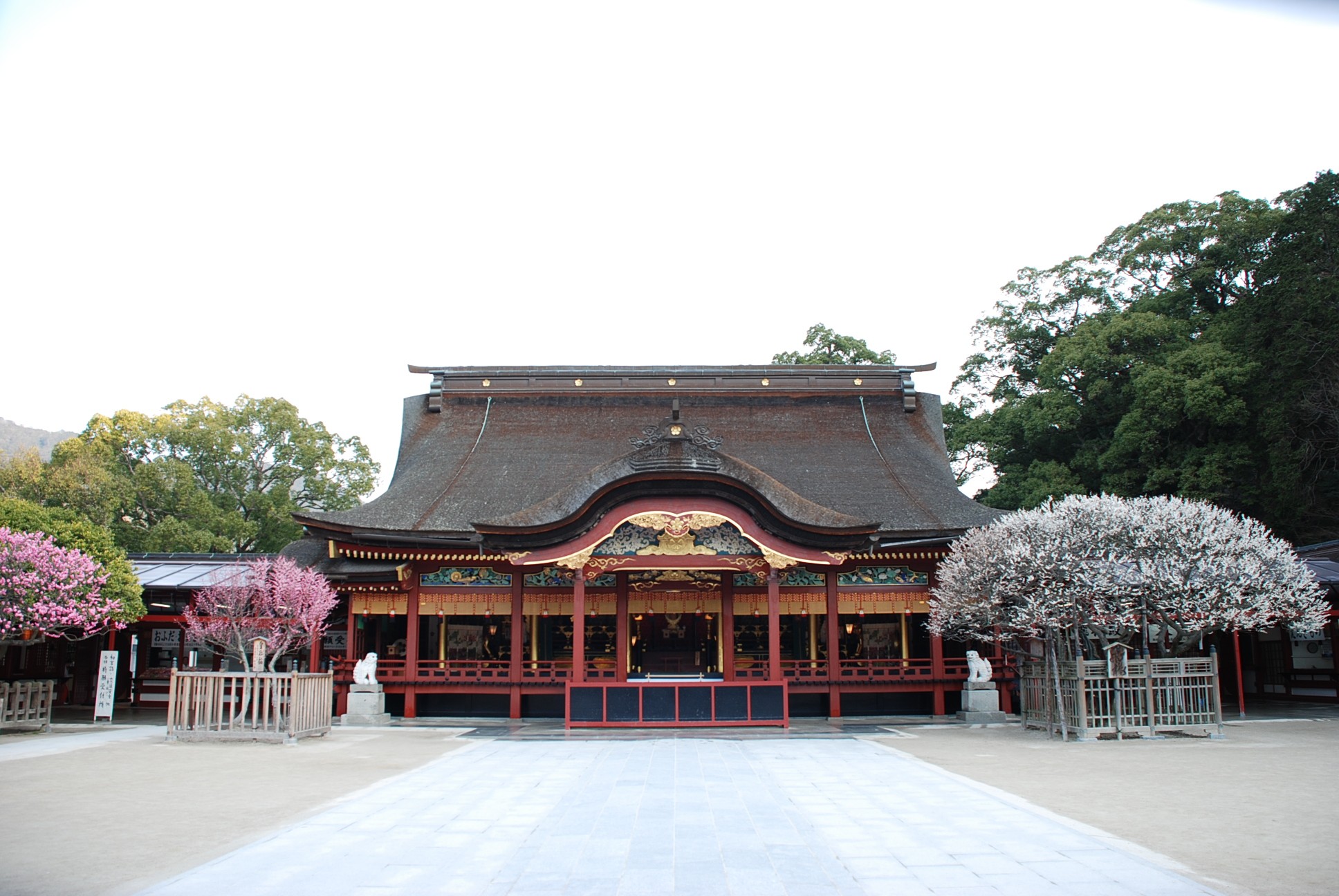 Dazaifu202410 2