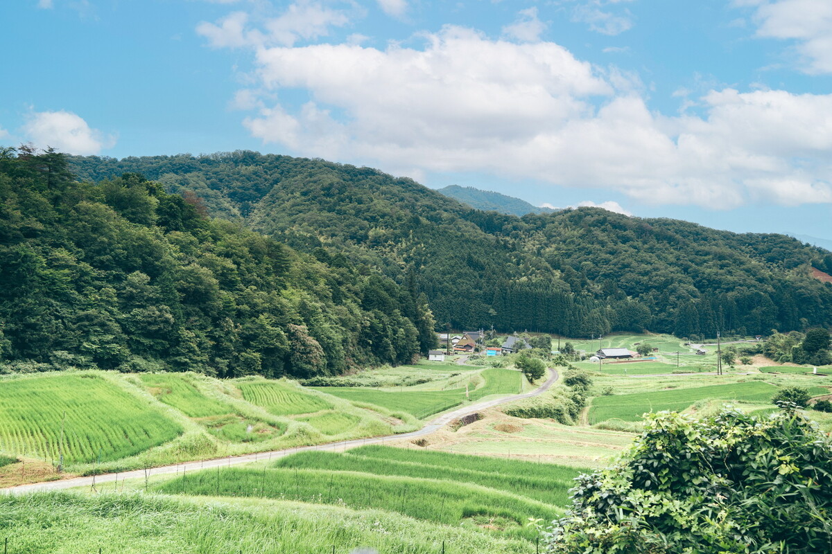 子育て世代が多い! “ほどよく田舎”な京都府福知山市の魅力とは? 特産品はふるさと納税返礼品に