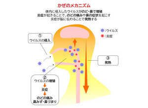 「かぜ薬」いつから飲むべき? かぜのひき始め症状とは - 大正製薬が解説