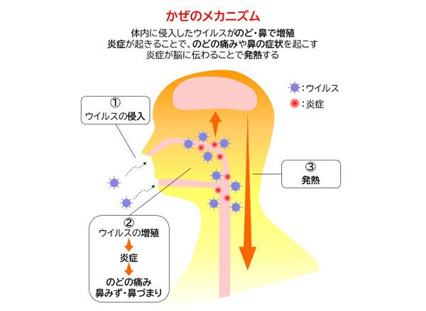 「かぜ薬」いつから飲むべき? かぜのひき始め症状とは - 大正製薬が解説