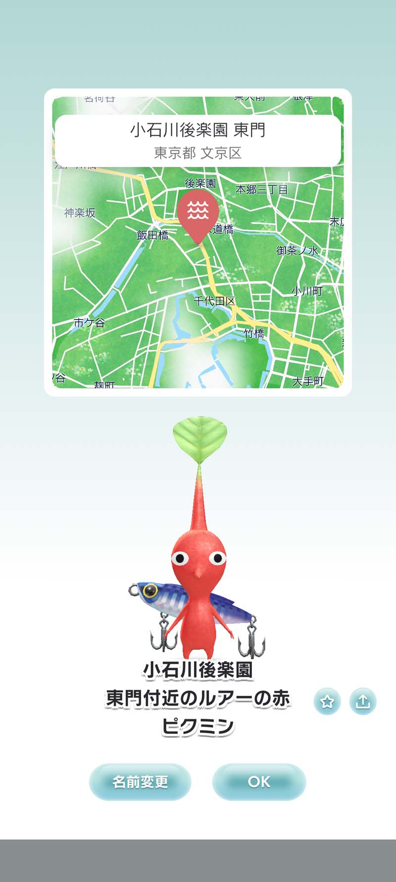 Pikmin Bloom Journey 2024