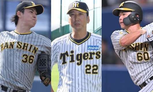 チームによっては主力級！？　阪神、2024年現役ドラフト注目選手6人