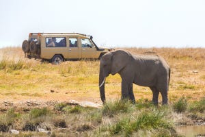 アフリカで日本車パーツが人気?